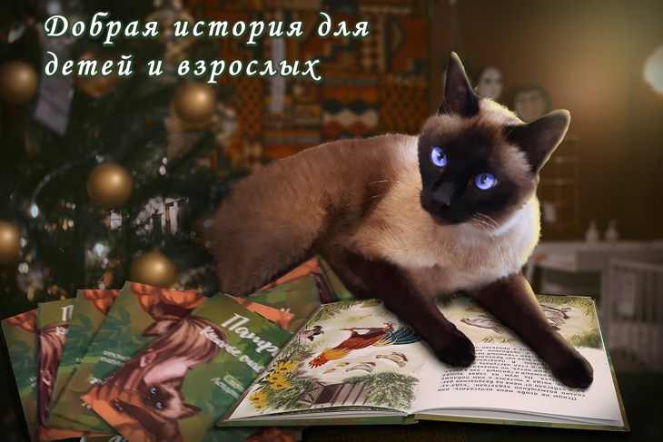 Иллюстрация