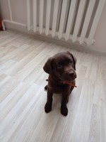 Обложка произведения История моей жизни