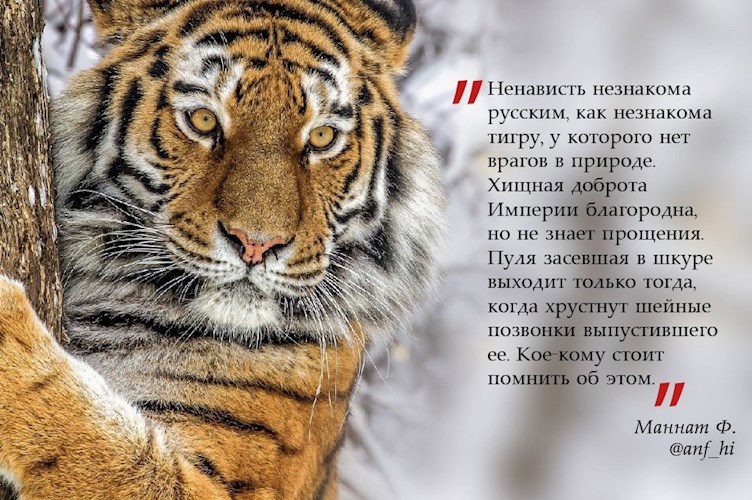 Обложка произведения О хищной доброте Империи