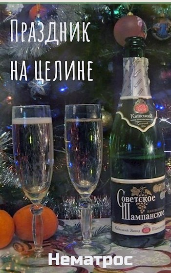 Обложка произведения Праздник на целине