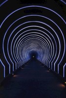 Обложка произведения Обычный день