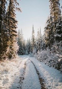 Обложка произведения Зазеркальная Роскошь