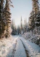 Обложка произведения Зазеркальная Роскошь