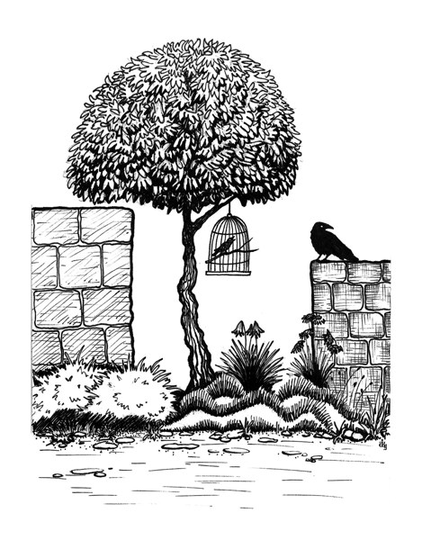 Иллюстрация