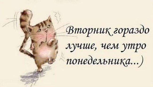 Поздравление с добрым утром вторника картинки прикольные Доброе утро от Санго / Sango