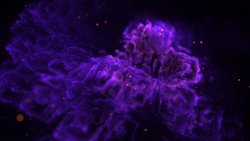 Обитатель бетонных глубин