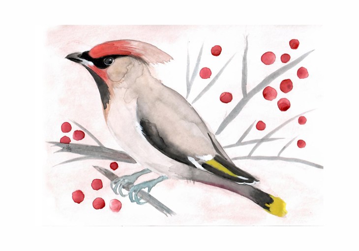 Иллюстрация