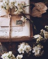 Обложка произведения Личная коллекция