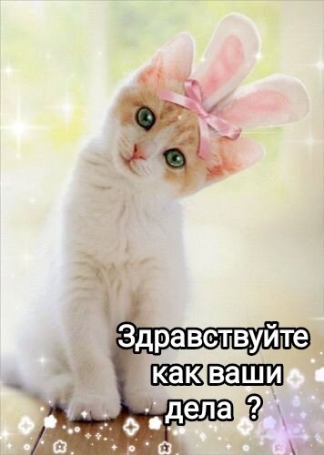 Обложка произведения Жила-была девочка