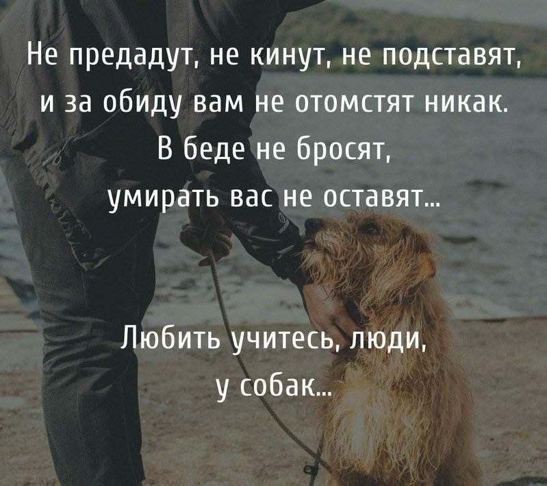 Что такое быть преданной. Что такое быть преданной