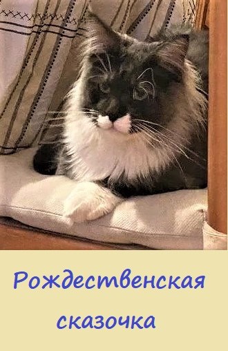 Обложка произведения Рождественская сказочка