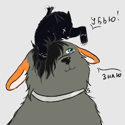 #78025