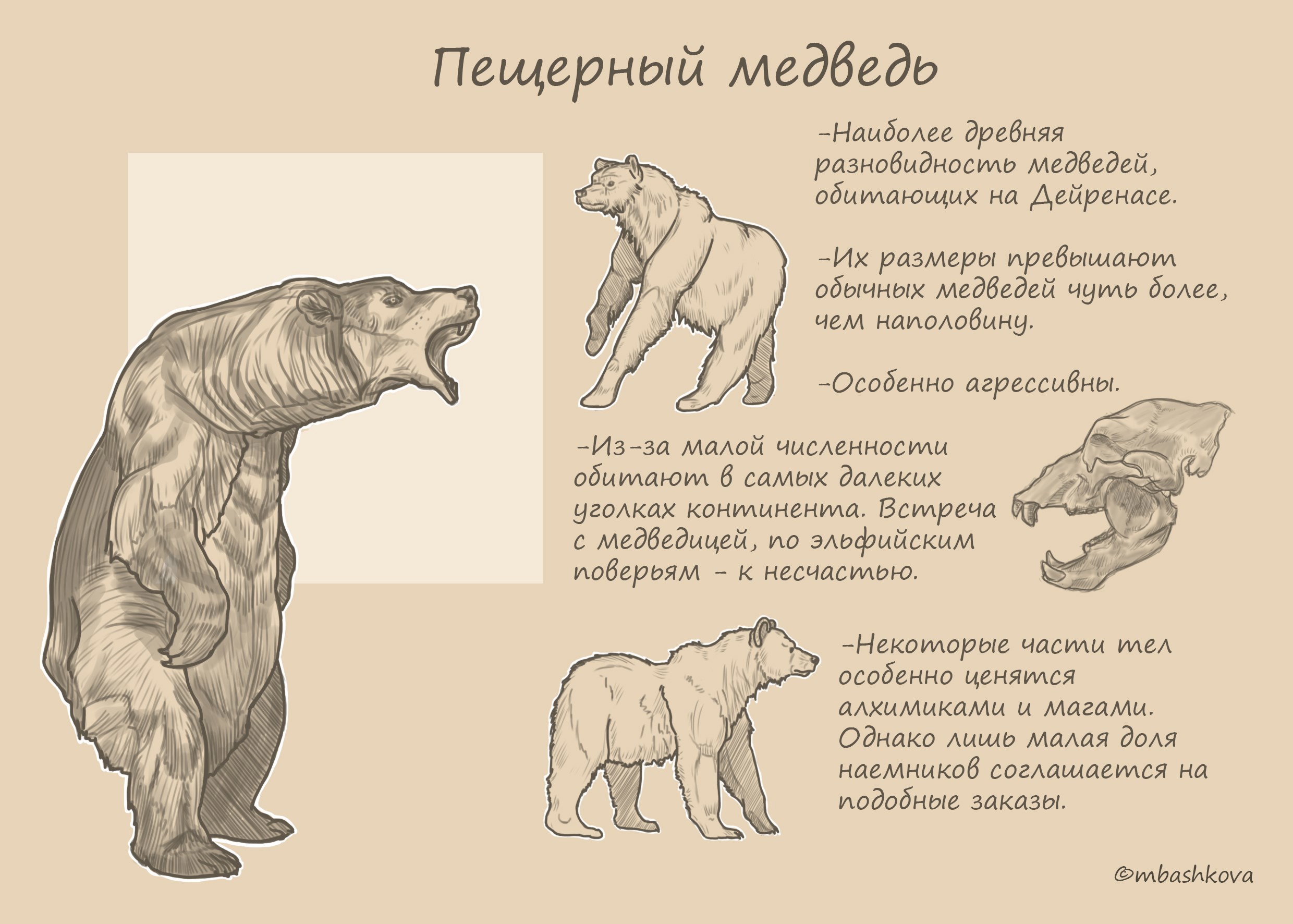 Пещерный медведь / Башкова Марина Викторовна