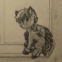 #78316