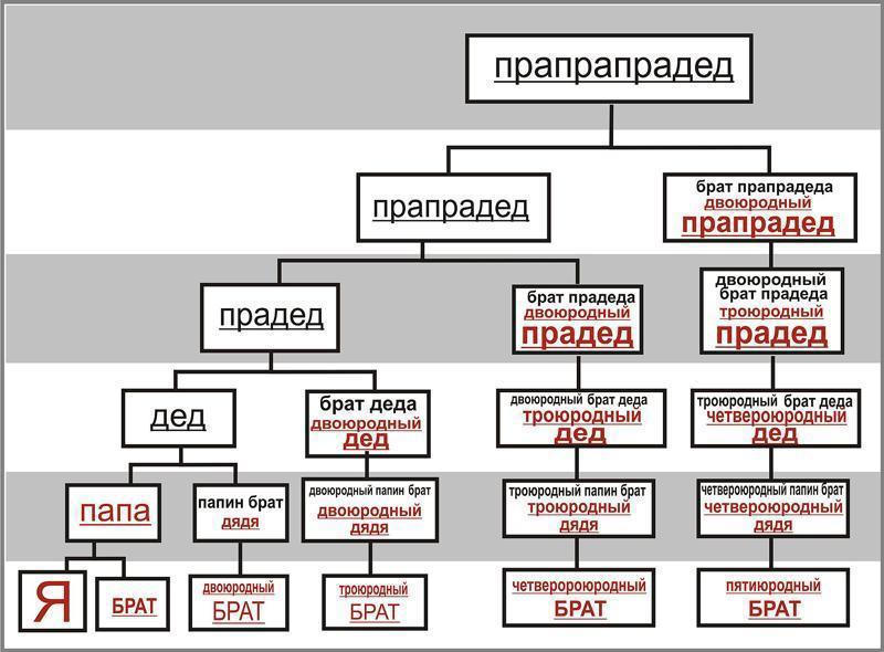 Двоюродная сестра кто она