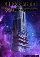 Обложка произведения Сквозь миры: последний донжон