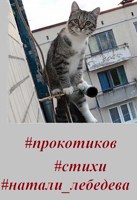 Обложка произведения #прокотиков