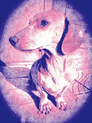 Обложка произведения Старый Район