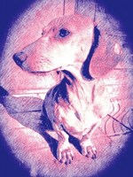 Обложка произведения Старый Район