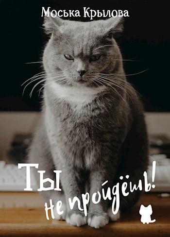 Обложка произведения Ты не пройдёшь!