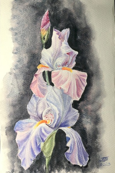 Иллюстрация