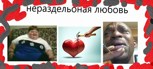 Обложка произведения не понятная любовь