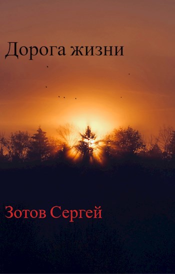 Обложка произведения Дорога Жизни