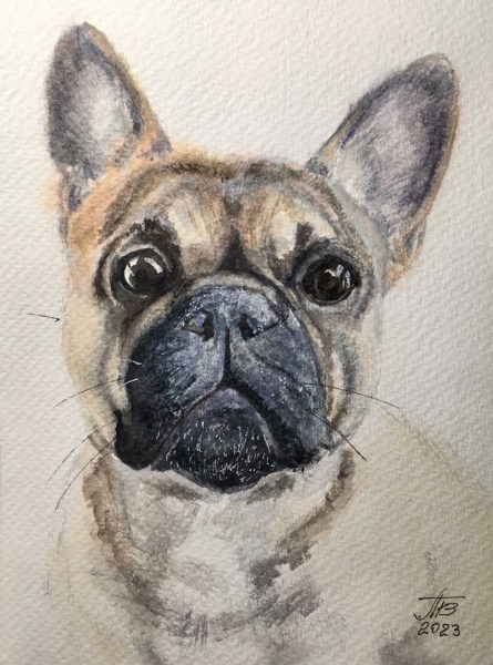 Иллюстрация