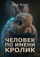 Обложка произведения Человек по имени Кролик