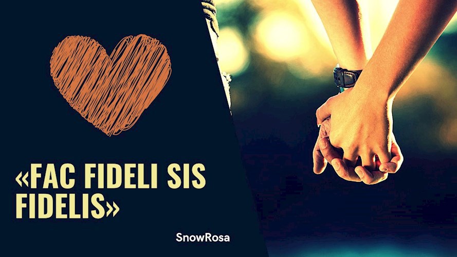 Обложка произведения Fac fideli sis fidelis