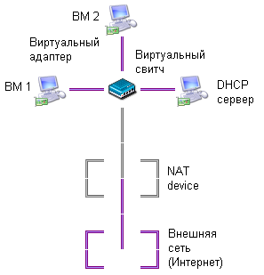 Сеть разместим