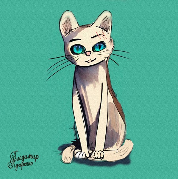 Иллюстрация