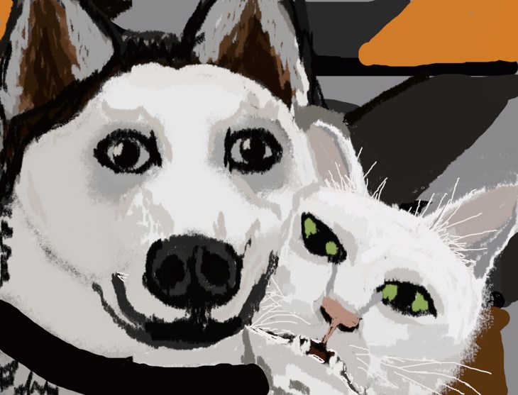 Иллюстрация