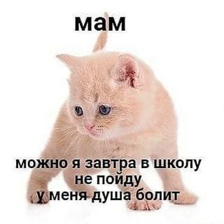 Обложка произведения Девушка на льду
