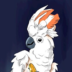 #80607