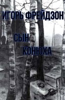 Обложка произведения Сын конюха