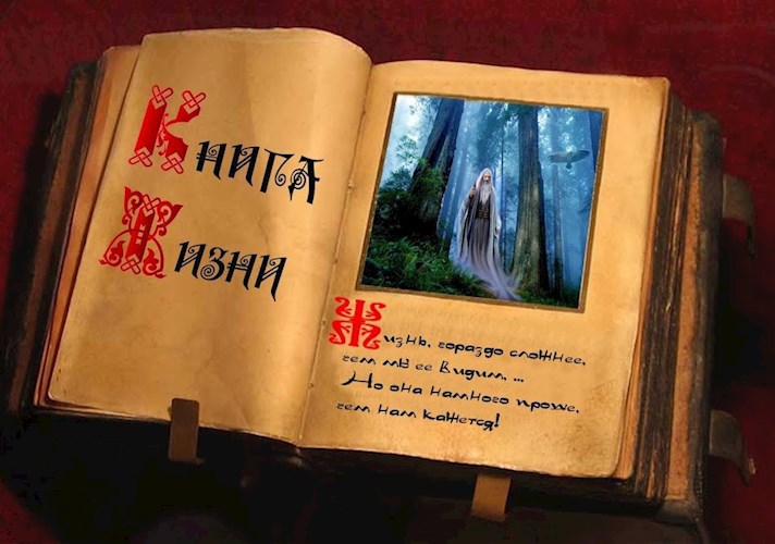 Обложка произведения Книга Жизни