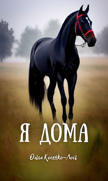 Обложка произведения Я дома