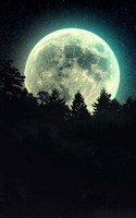 Обложка произведения Эн