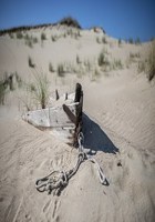 Обложка произведения Пустыня