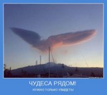 Обложка произведения Чудеса бывают