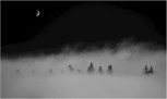 Обложка произведения В тумане