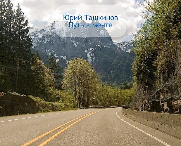 Обложка произведения Путь к Мечте