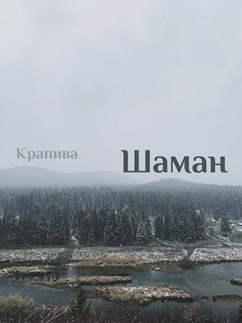 Обложка произведения Шаман