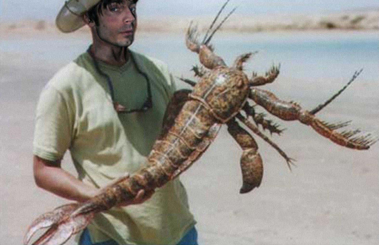 Самый крупный скорпион