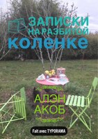 Обложка произведения Записки на разбитой коленке