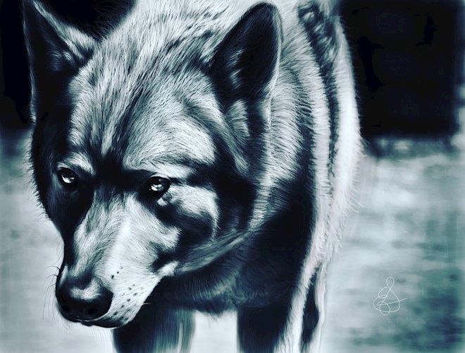 Обложка произведения Волк с грустными глазами