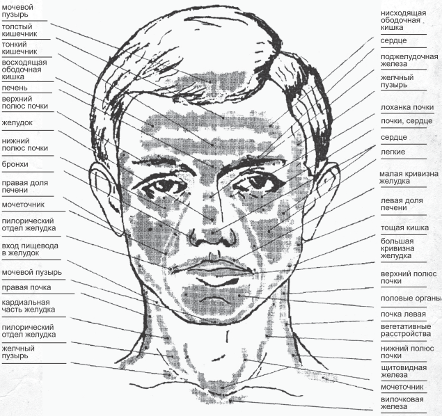 О чем говорят прыщи. Прыщи на лице органы. Зоны лица по органам. Прыщи на лице по зонам у мужчин. Прыщи на лице по зонам причины.