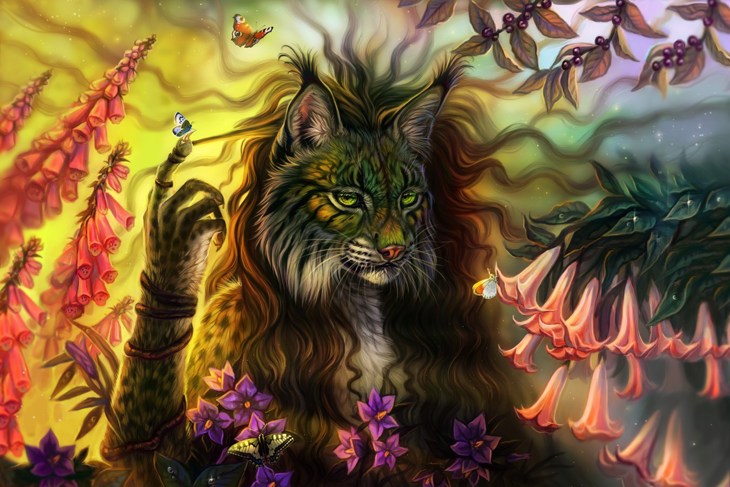 Иллюстрация