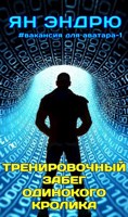 Обложка произведения Тренировочный забег одинокого кролика